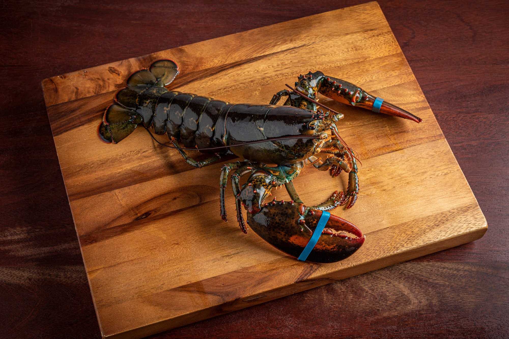 WRG_Sole_Lobster 2lbs-9658