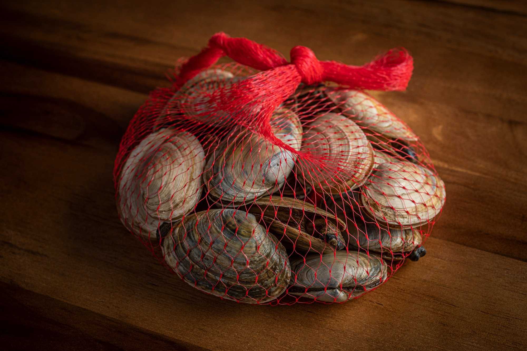 WRG_Sole_Steamer clams-9612